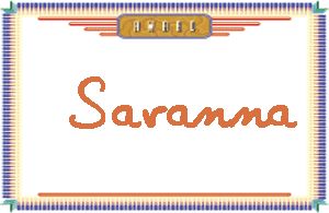 SavannaдӢ