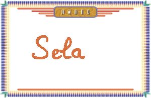SelaдӢ