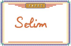 SelimдӢ