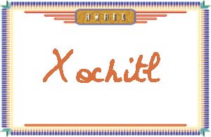 XochitlдӢ